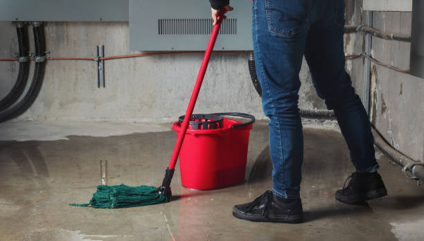 Best Basement water damage restoration  in Gardnerville, NV