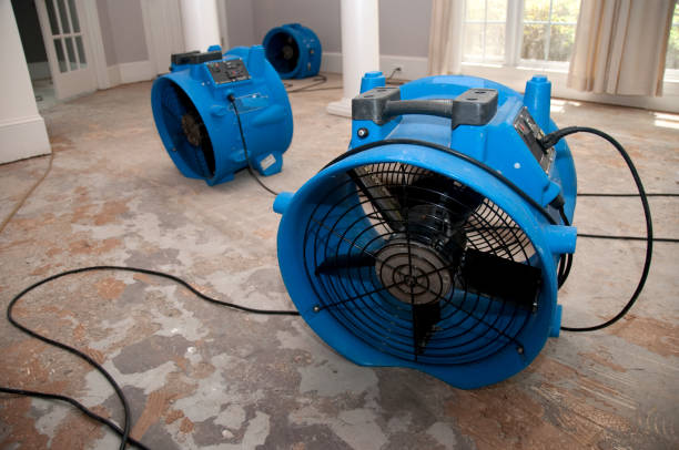 Best Ceiling water damage repair  in Gardnerville, NV