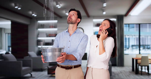 Best Mold removal after water damage  in Gardnerville, NV