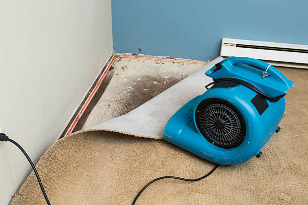 Best Emergency water damage restoration  in Gardnerville, NV